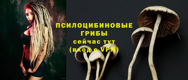 мяу мяу кристалл Горняк