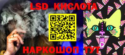 шишки Донской