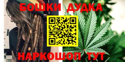 шишки Донской